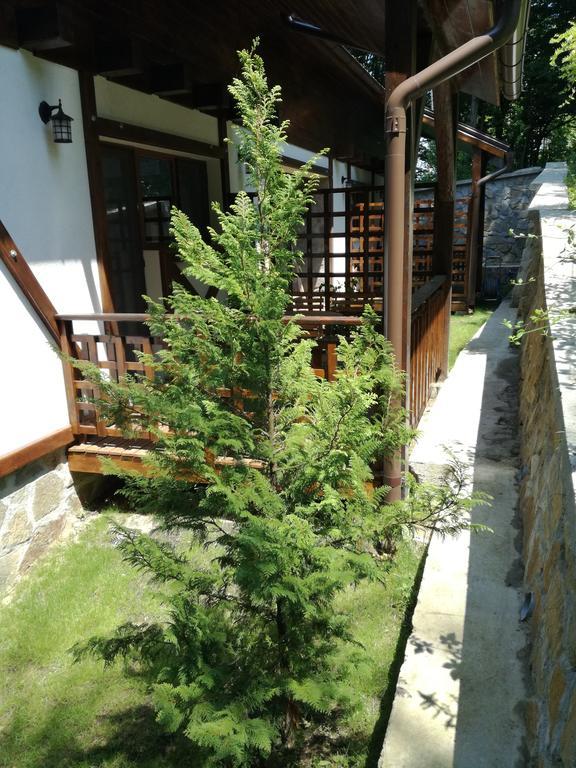 Casa Gozna Apartment Valiug Exterior photo
