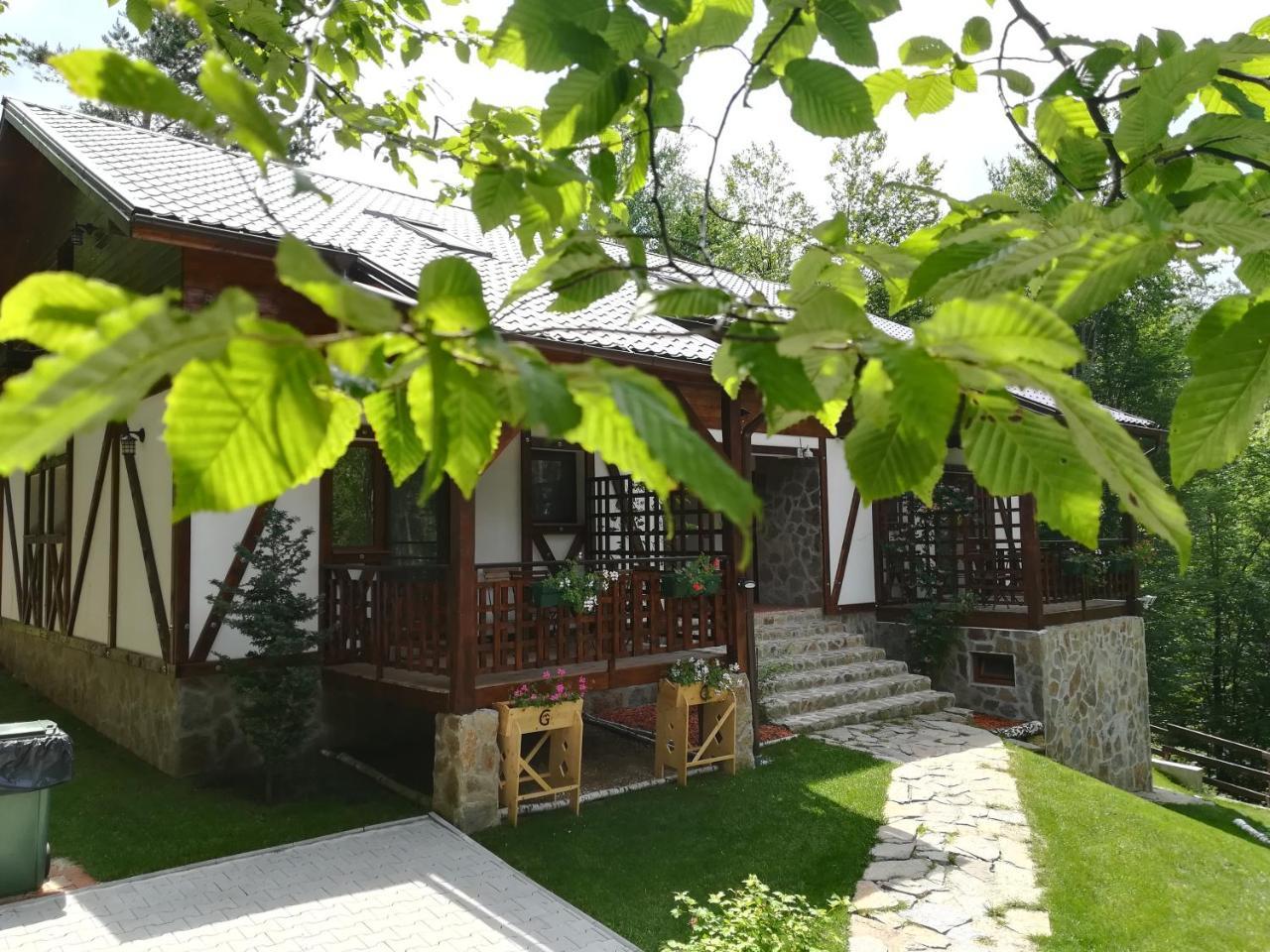 Casa Gozna Apartment Valiug Exterior photo